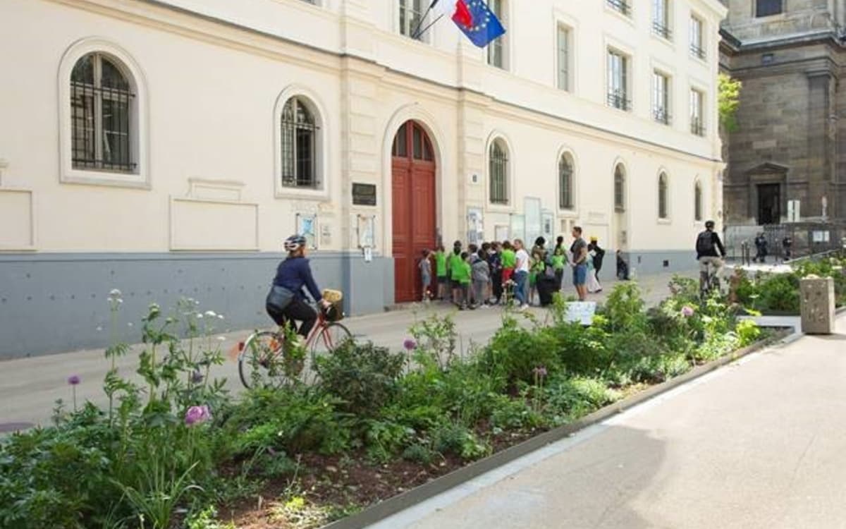 Ecole Élémentaire 3 Rue Belzunce - Rénovation de la cour et des sanitaires cour
