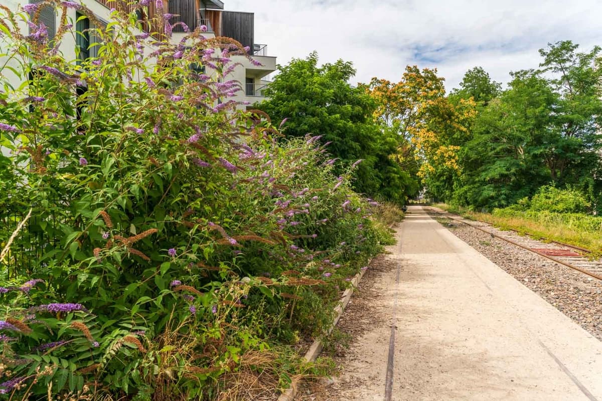 La reconquête de la petite ceinture