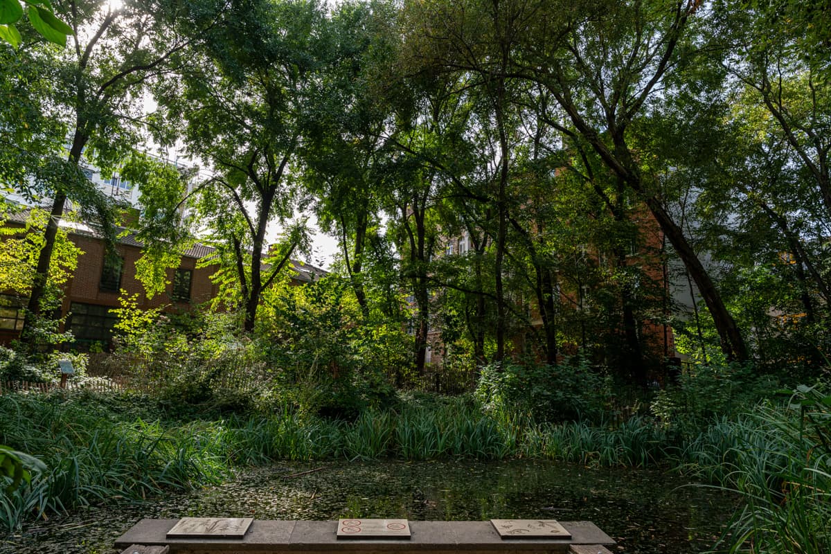 Jardin Naturel Pierre Emmanuel - Rénovation des aires jeux et du pingpong
