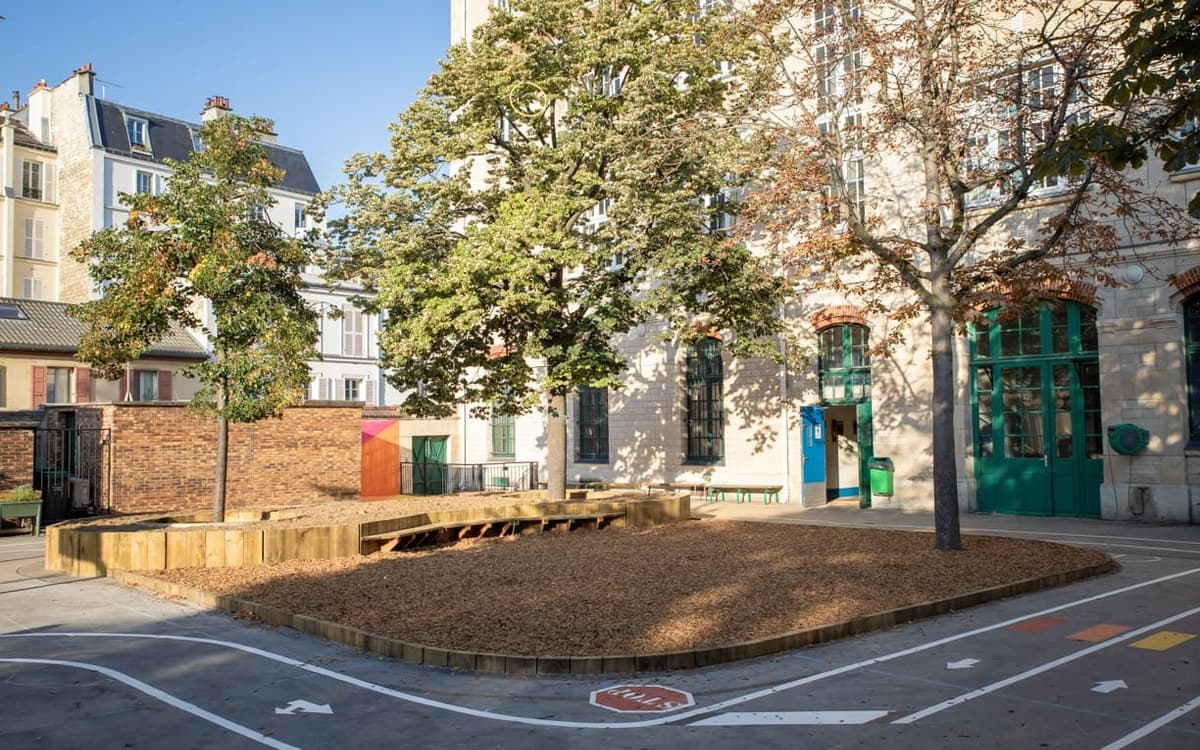 Construire des cours Oasis pour nos écoles
