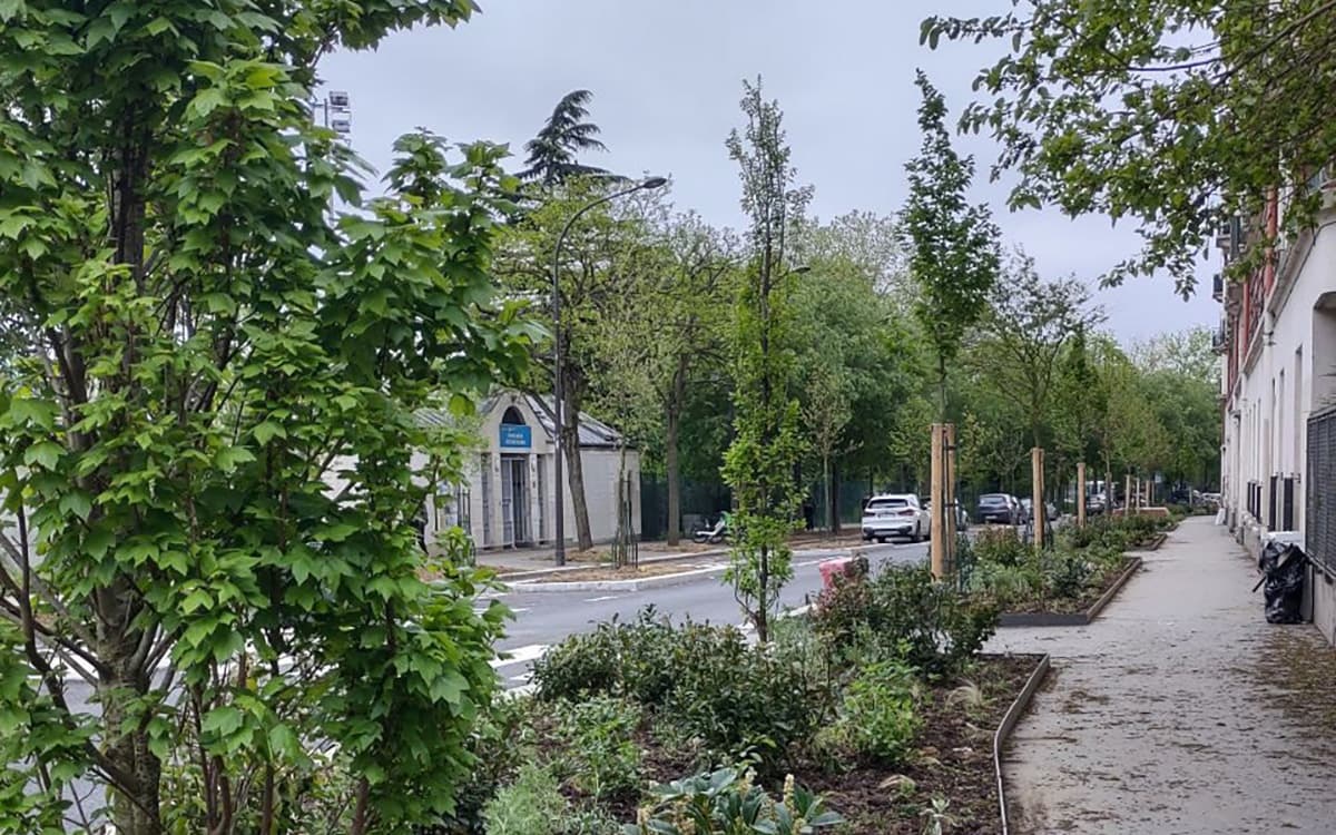 Plantations Rue Dulaure