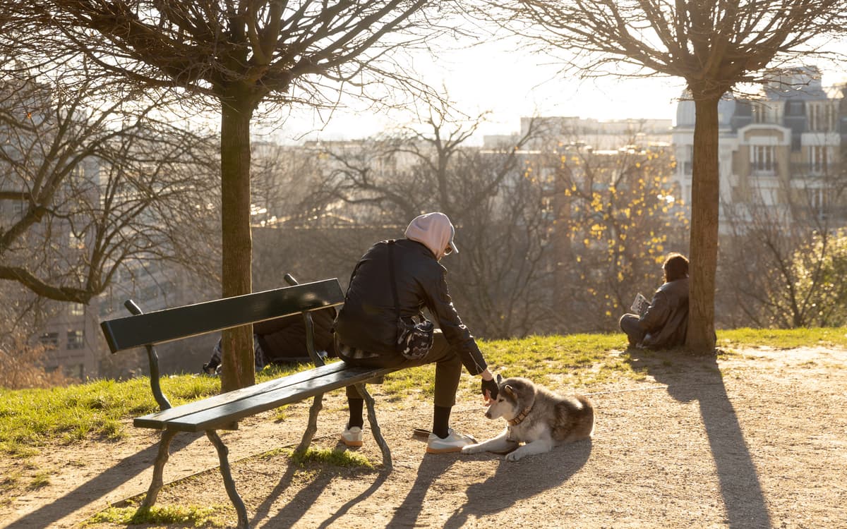 Création d'espaces canins