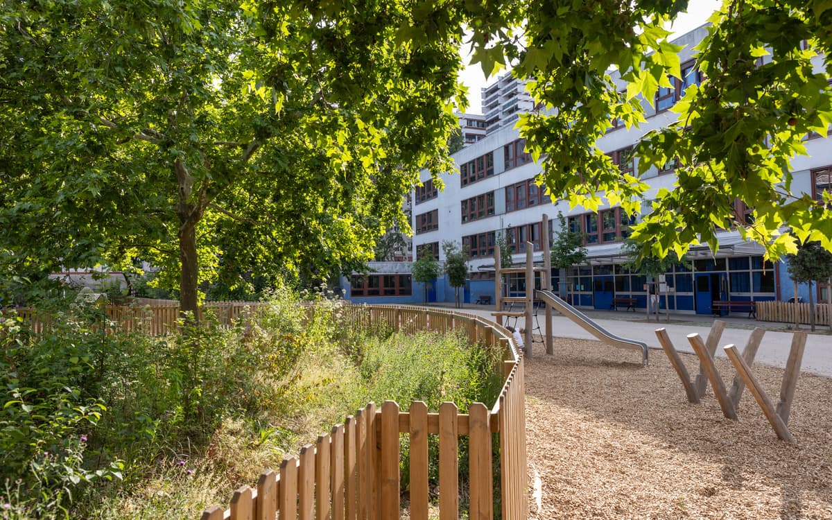 Construire des cours Oasis pour nos écoles
