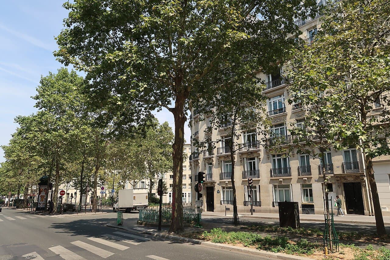 Boulevard Raspail (à différents niveaux) - Travaux de rénovation de la chaussée
