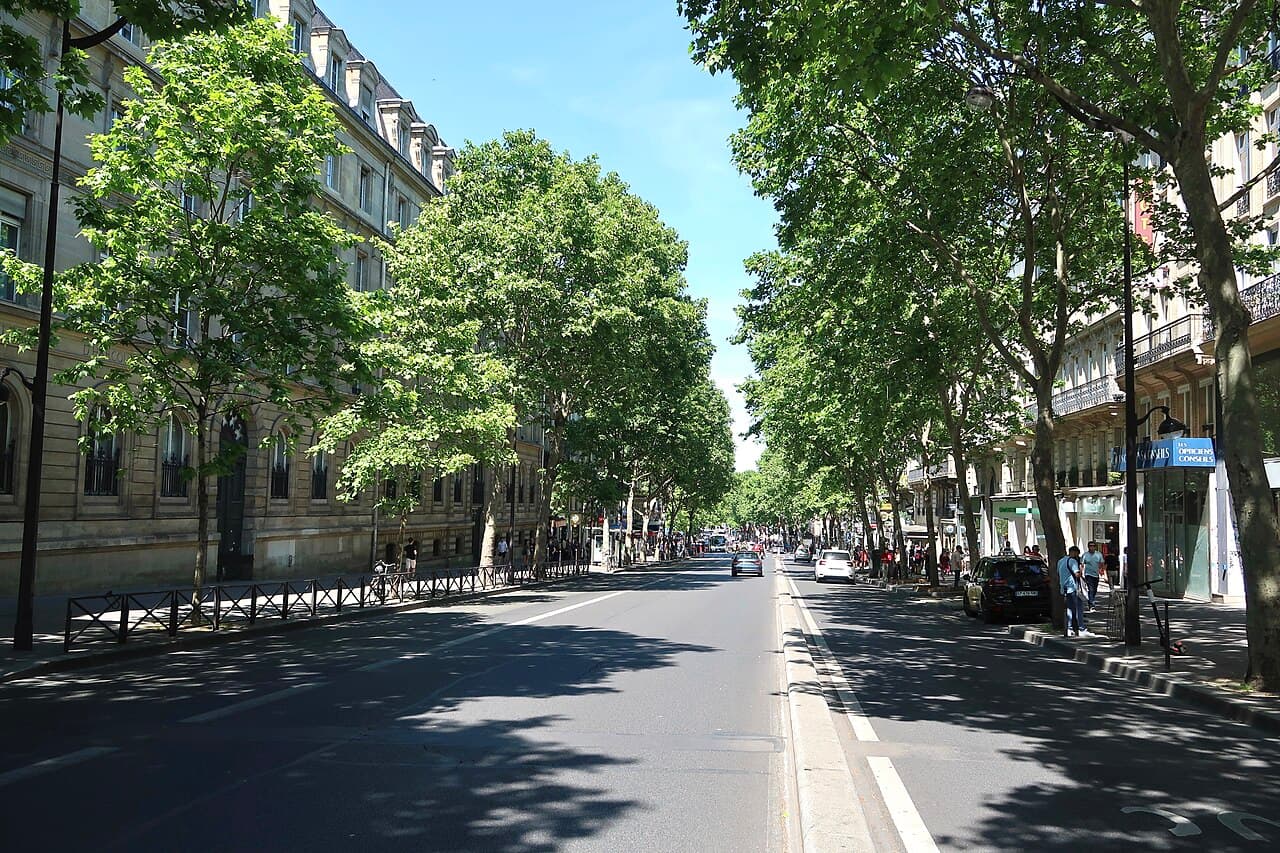 Boulevard Saint Michel - Travaux sur la piste cyclable