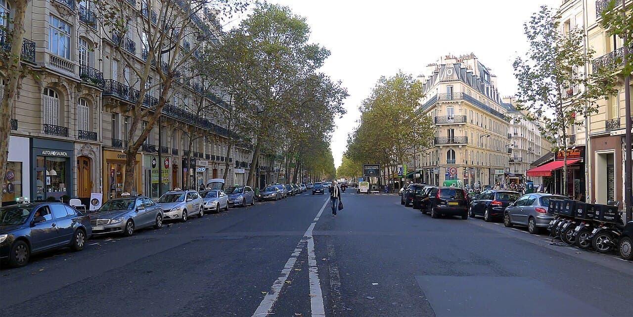 Pieds d'arbres avenue de Villiers