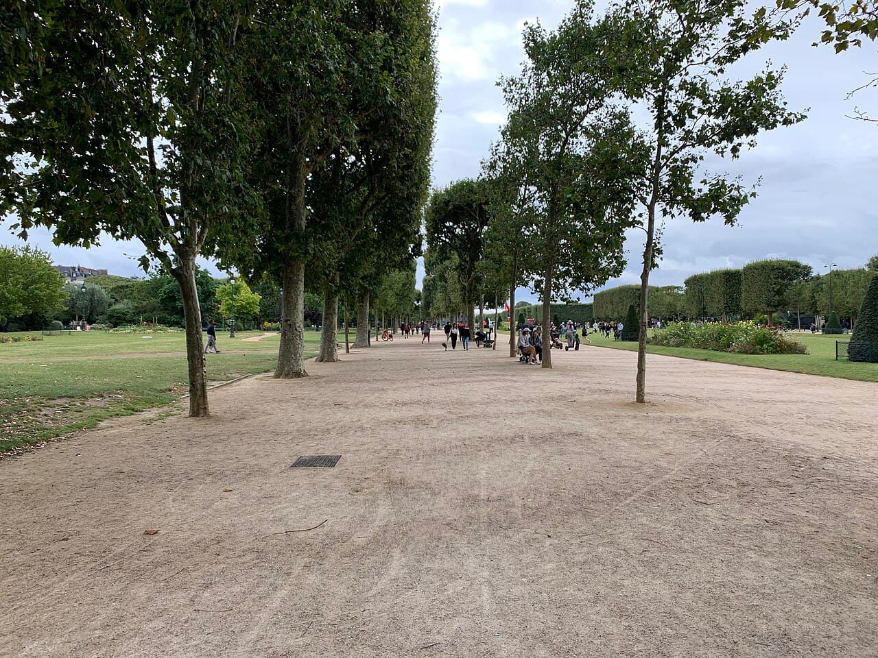 Avenue Anatole France - Rénovation du tapis