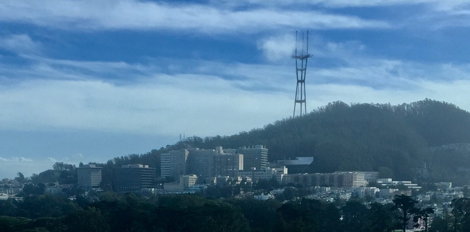 UCSF's Parnassus campus below Sutro Tower